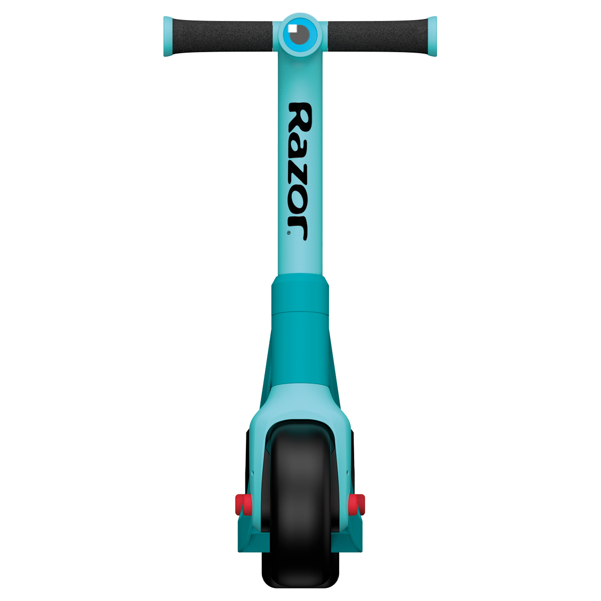 Wild Ones Scooter in Shark front